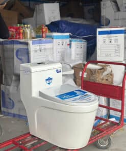 Bồn Cầu 1 Khối Trắng BC-2240