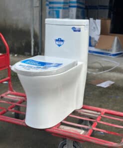 Bồn Cầu Trắng BC-Đ1