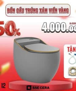 Bồn Cầu Trứng Xám Viềng Vàng BC-T2
