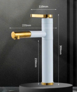 VÒI LAVABO NÓNG LẠNH INOX SƠN TỈNH ĐIỆN TRẮNG VLB-39