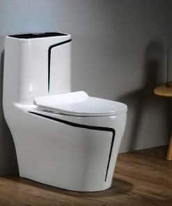 Bồn Cầu Trắng Viềng Đen 1 Khối BC-Đ1