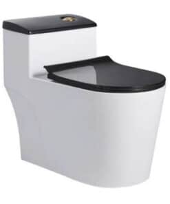 Bồn Cầu Nắp Lệch Đen BC-3015